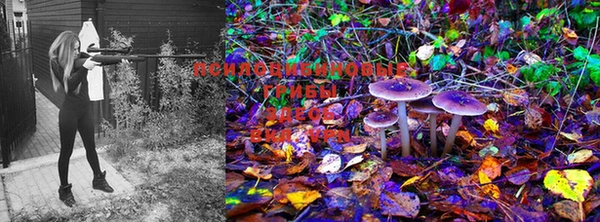 марки lsd Мегион