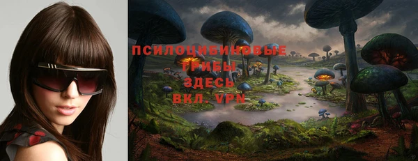 марки nbome Медвежьегорск