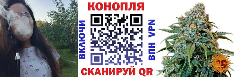 МАРИХУАНА планчик Щучье